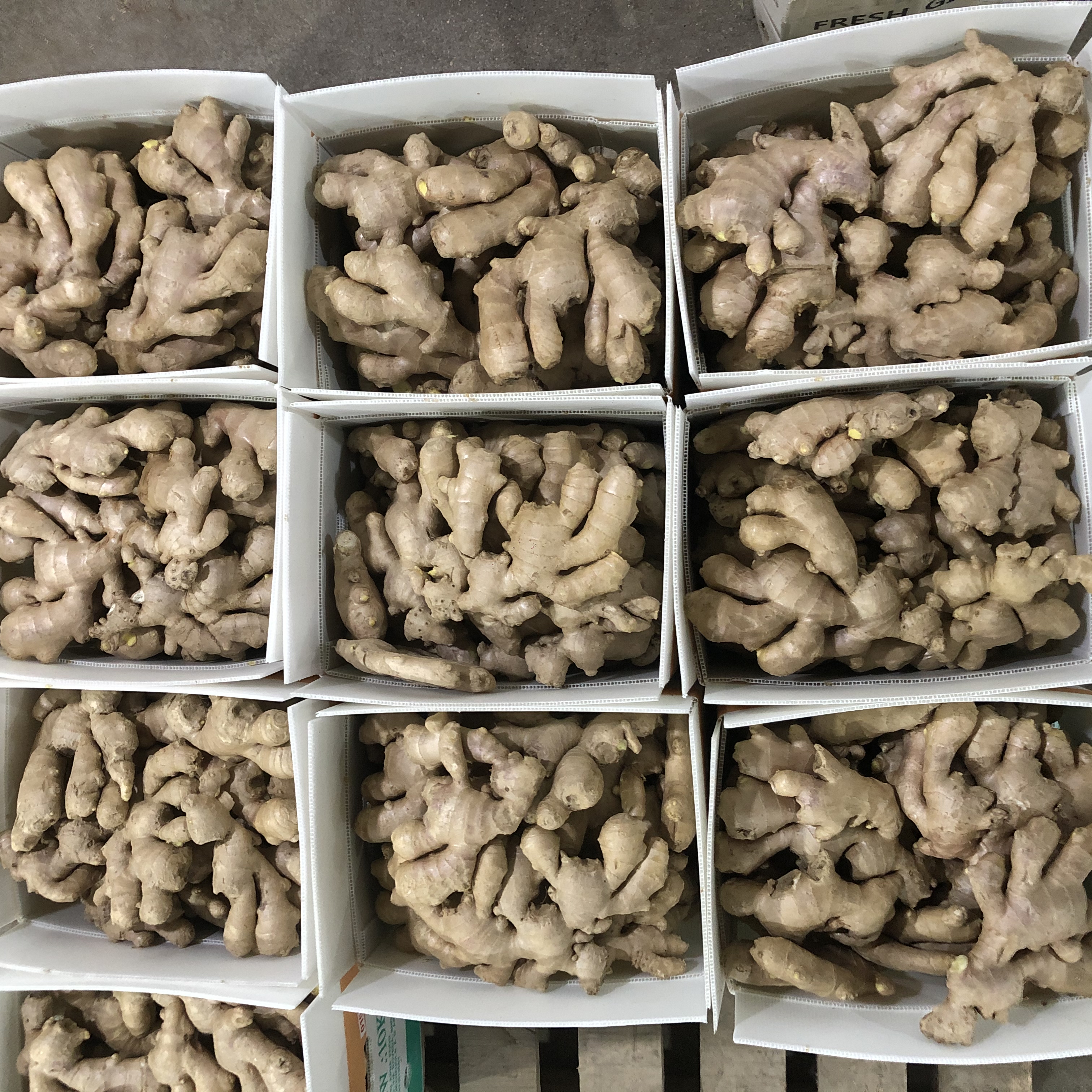 WechatIMG4284 WechatIMG4284