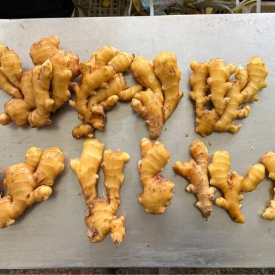 March 16th Price of Ginger at Changyi Kunfu Market