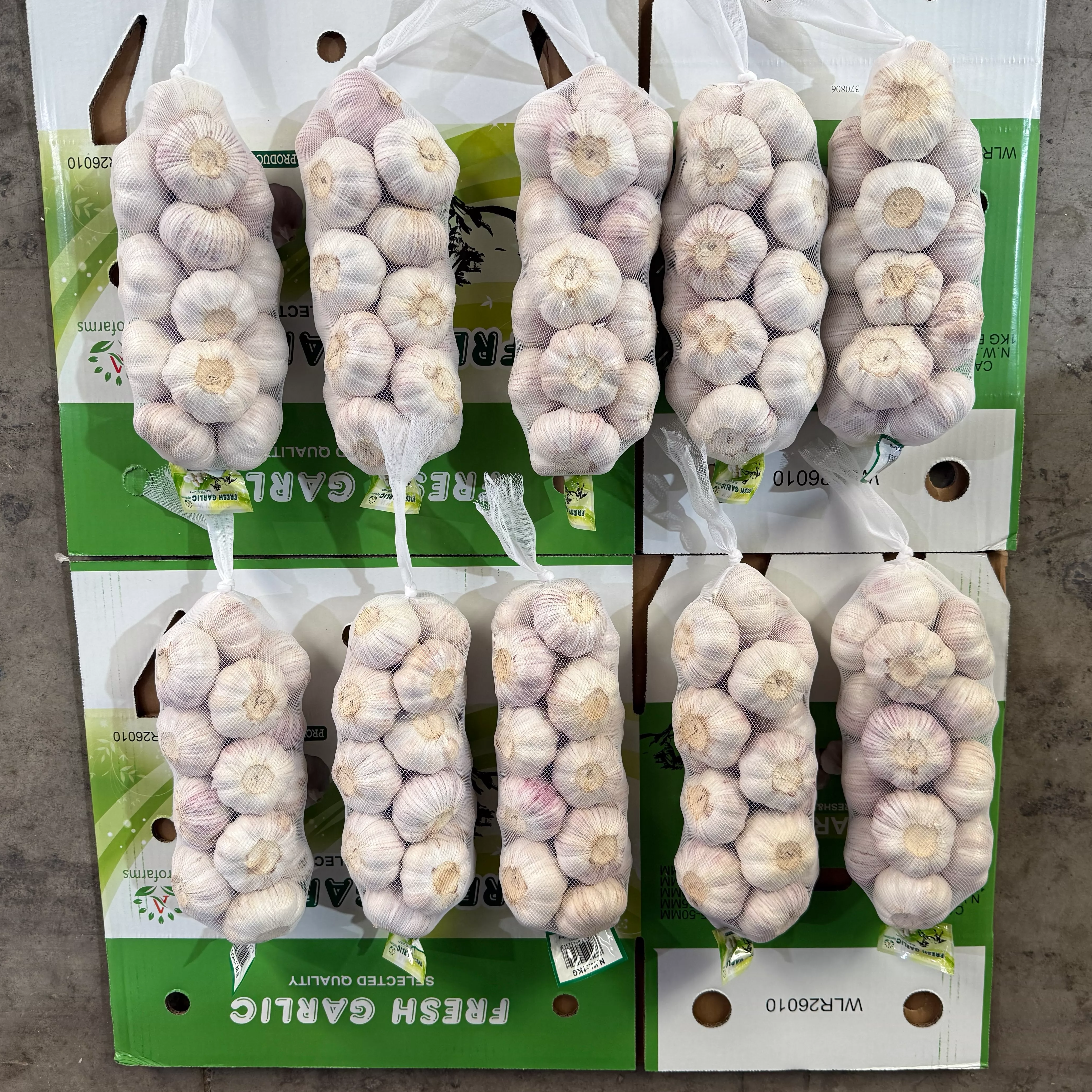 March 2nd Jinxiang Garlic Price Market