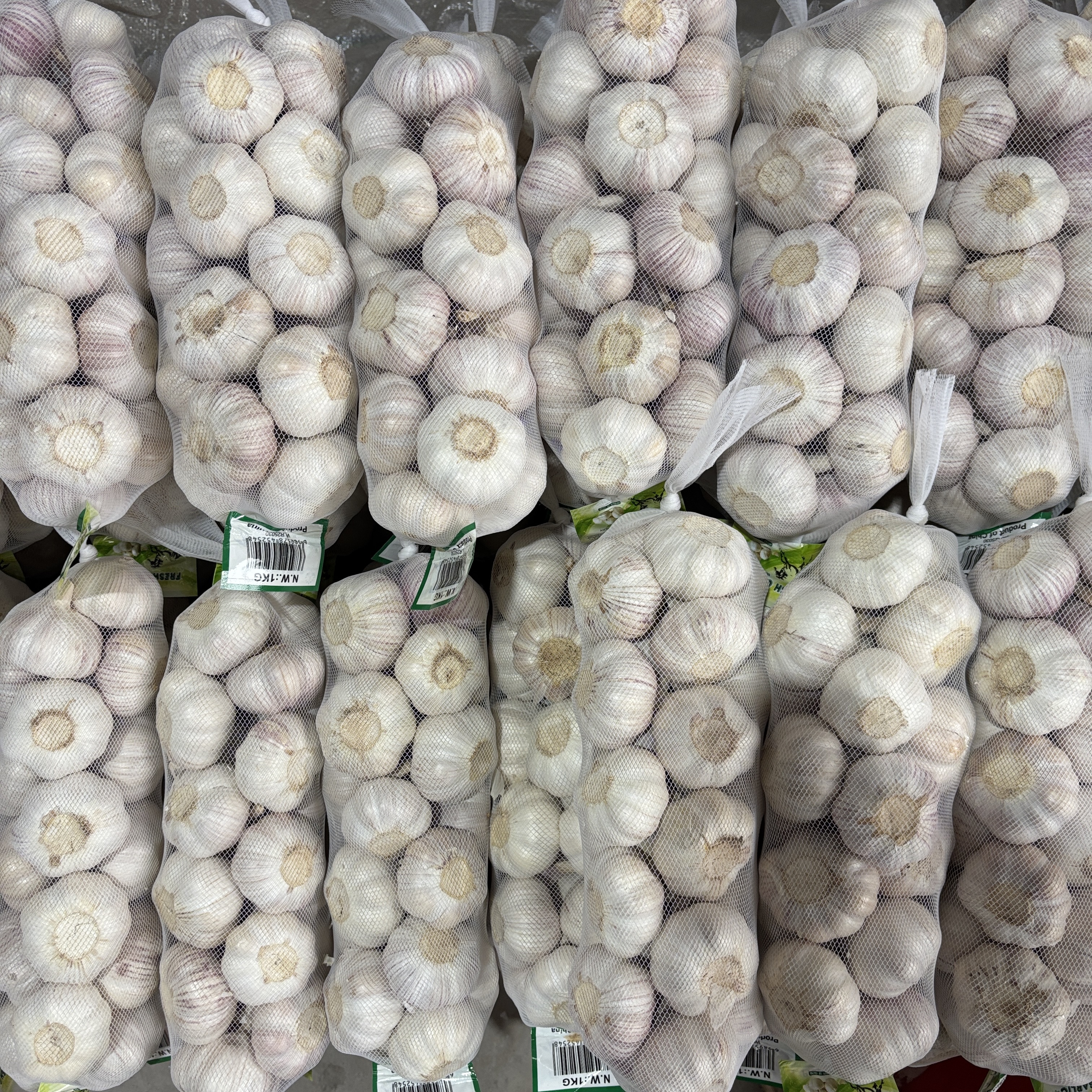 On June 20th Kenya Customers Visit Garlic Factory and Company for Foreign Trade