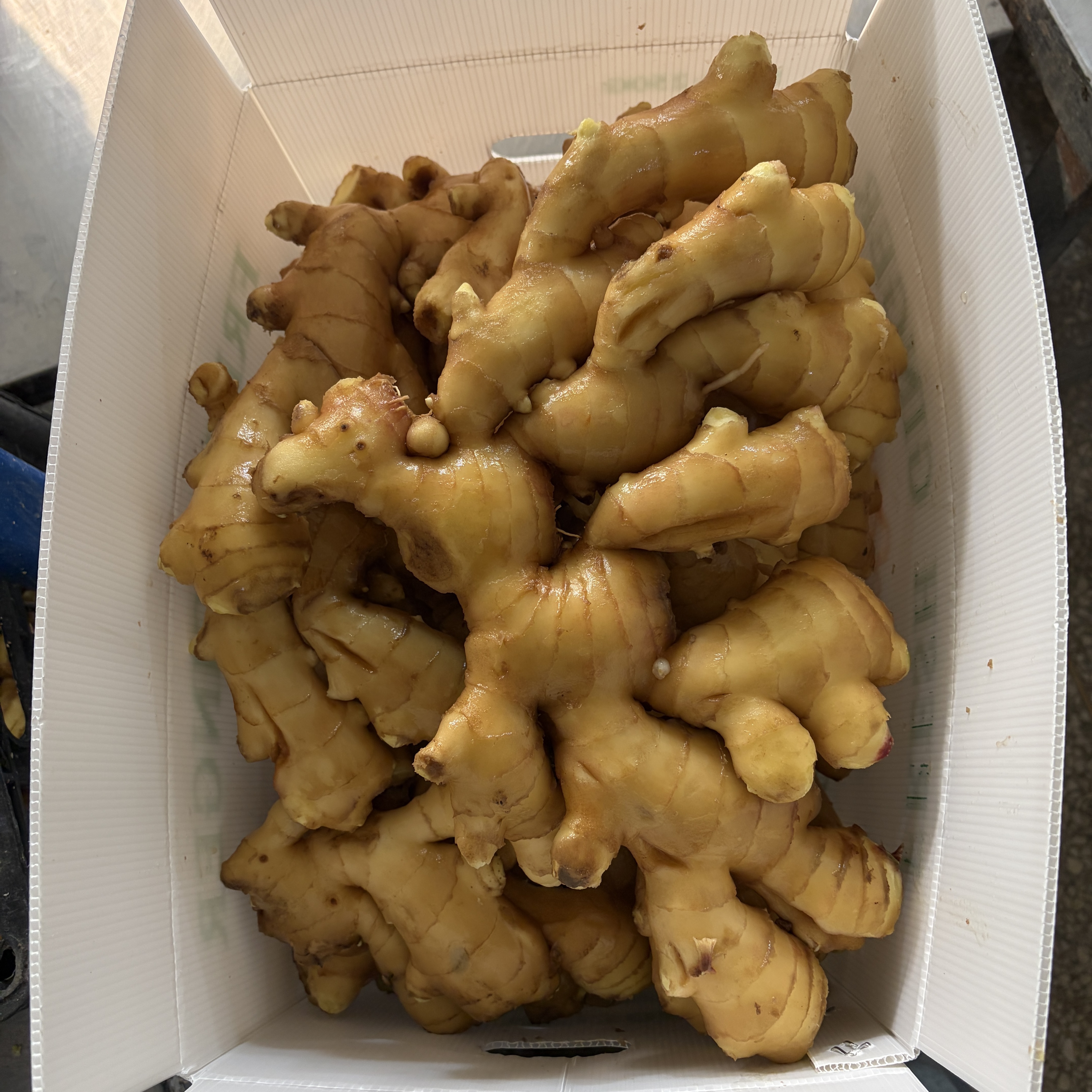 The Price of Ginger in Kunfu Market, Changyi on March 12th