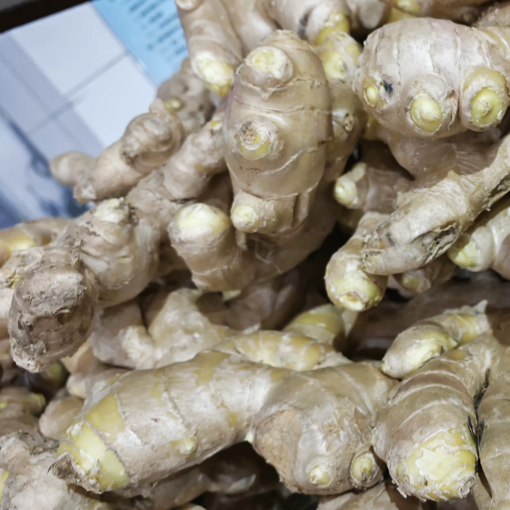 March 11th Price of Ginger at Changyi Kunfu Market