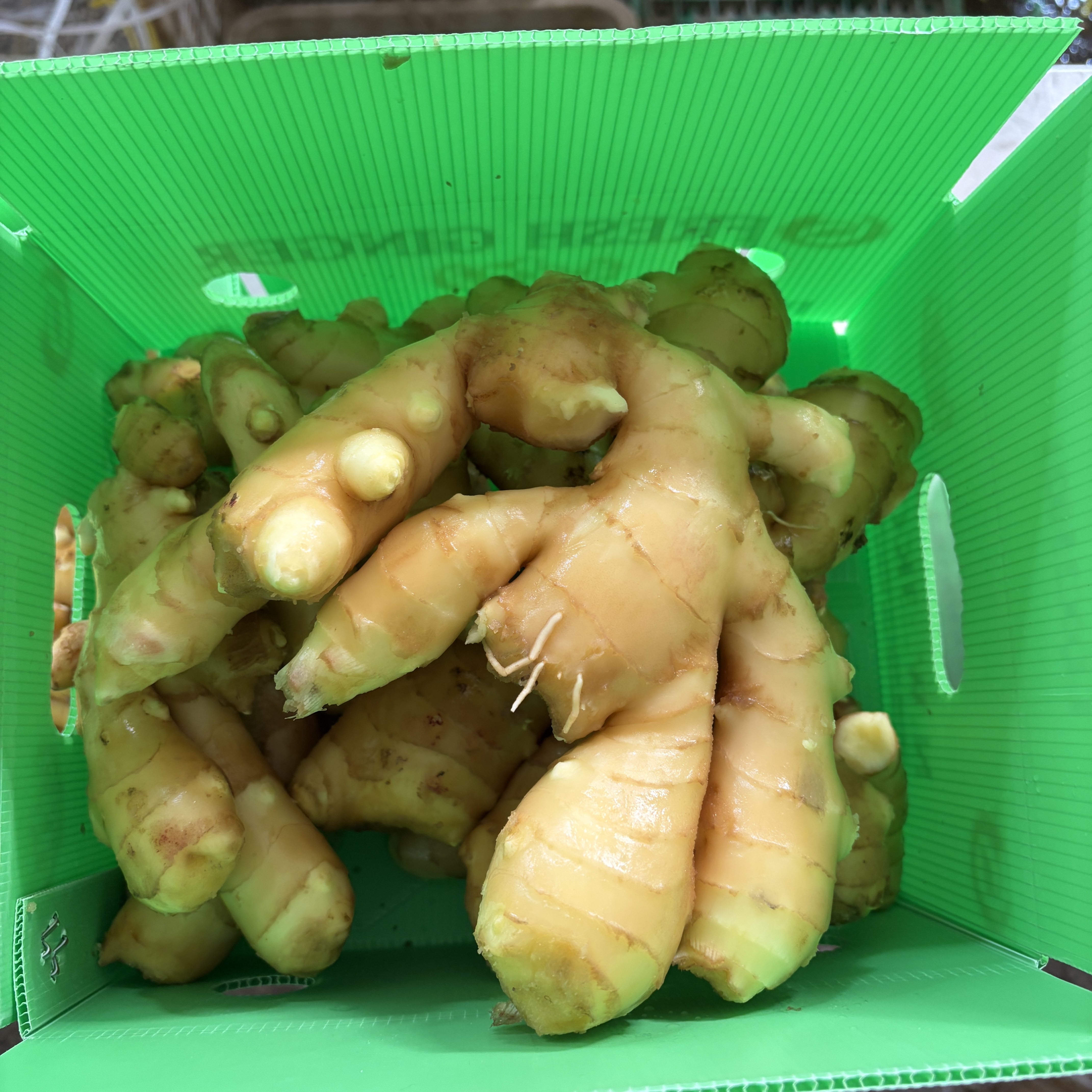 2026-01-13 下午21941