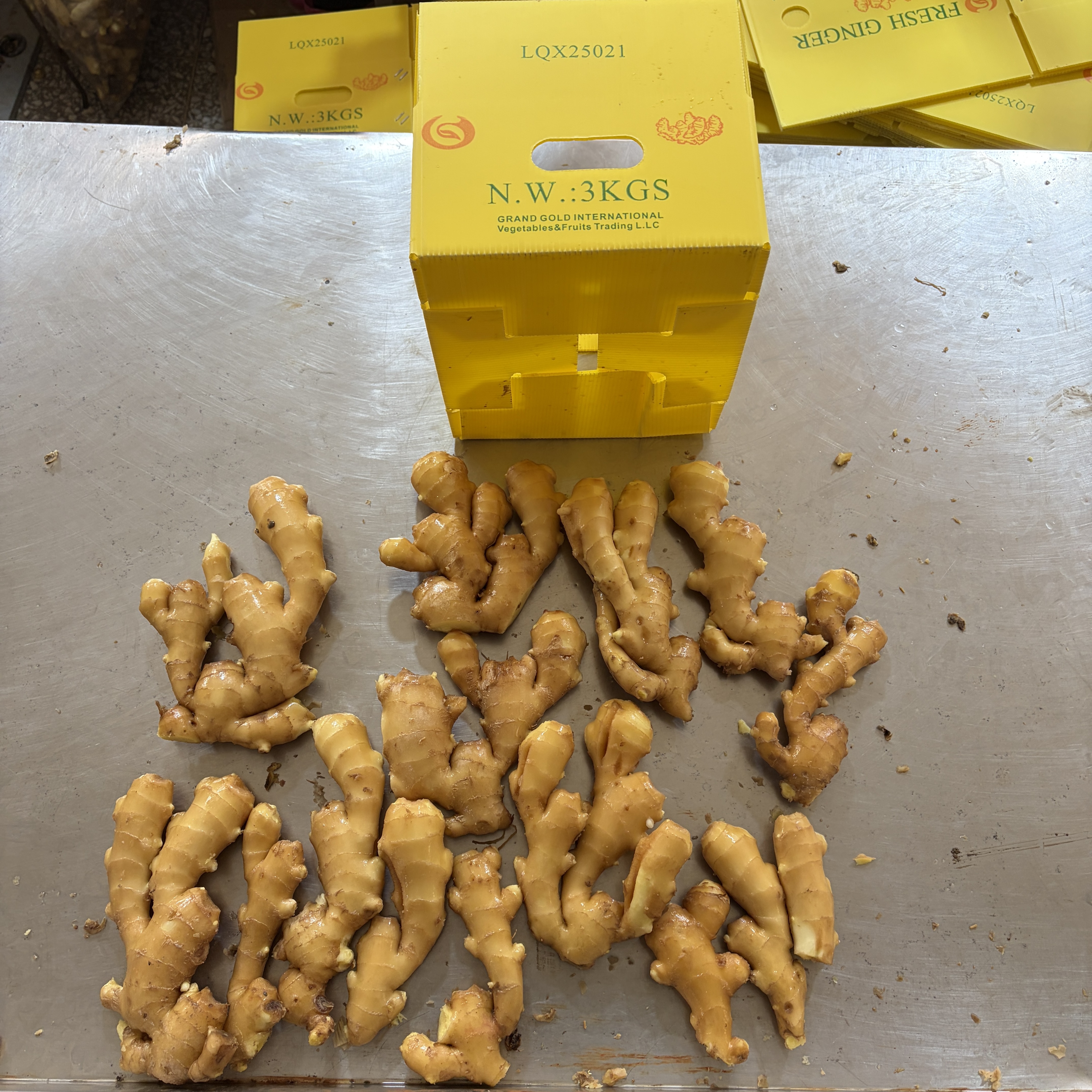 2026-01-13 上午83156