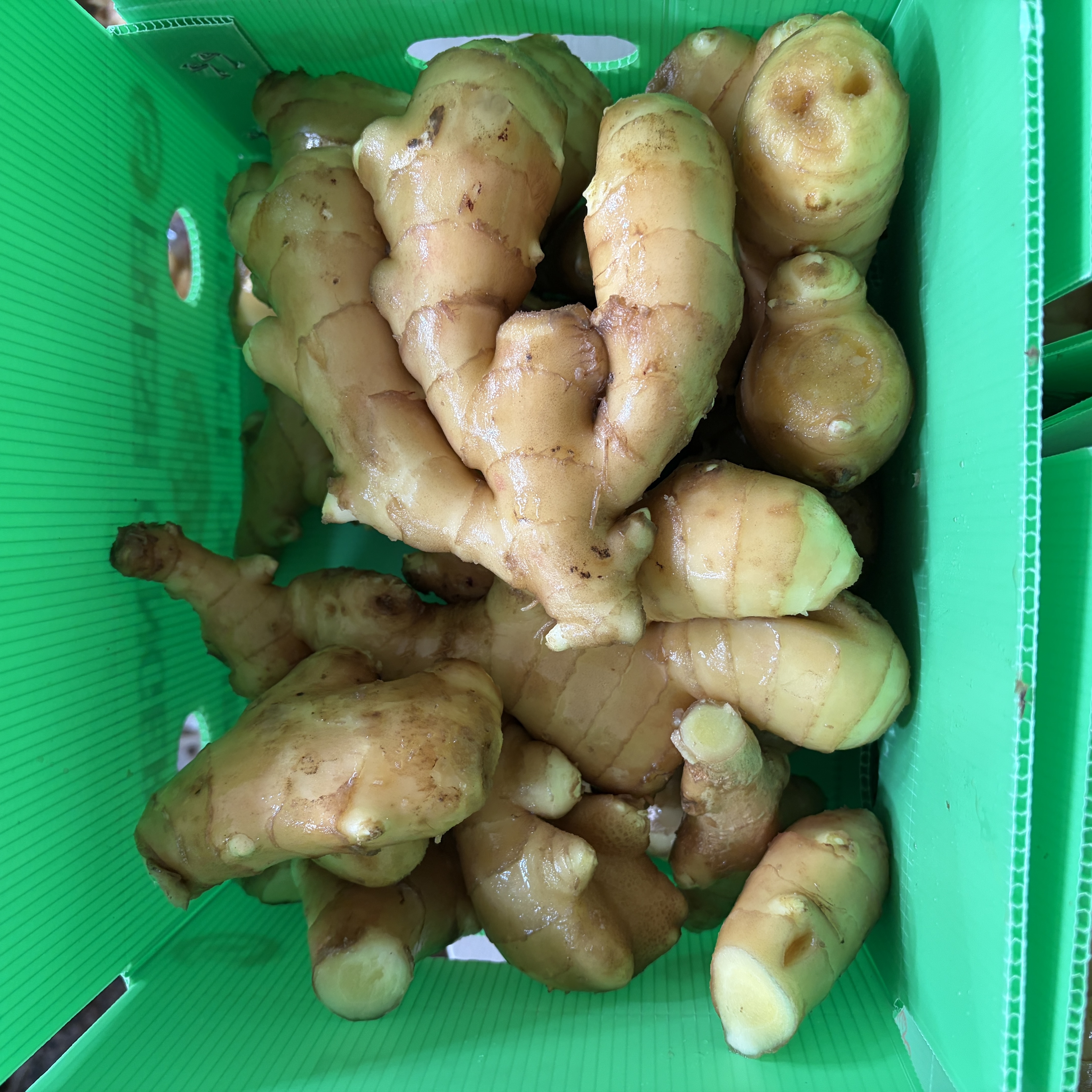 2026-01-13 下午22704