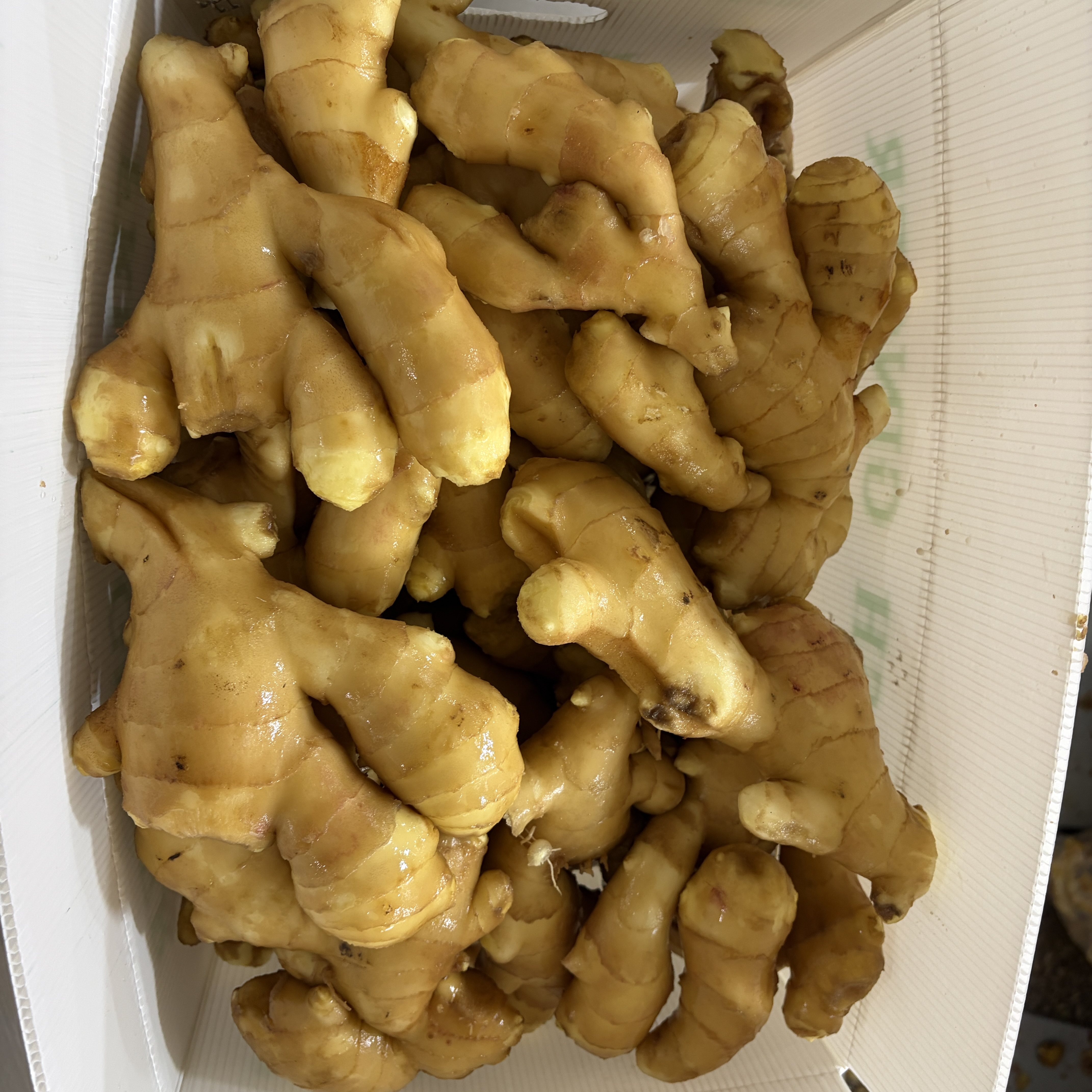 Price of Ginger in Changyi Market on March 9th