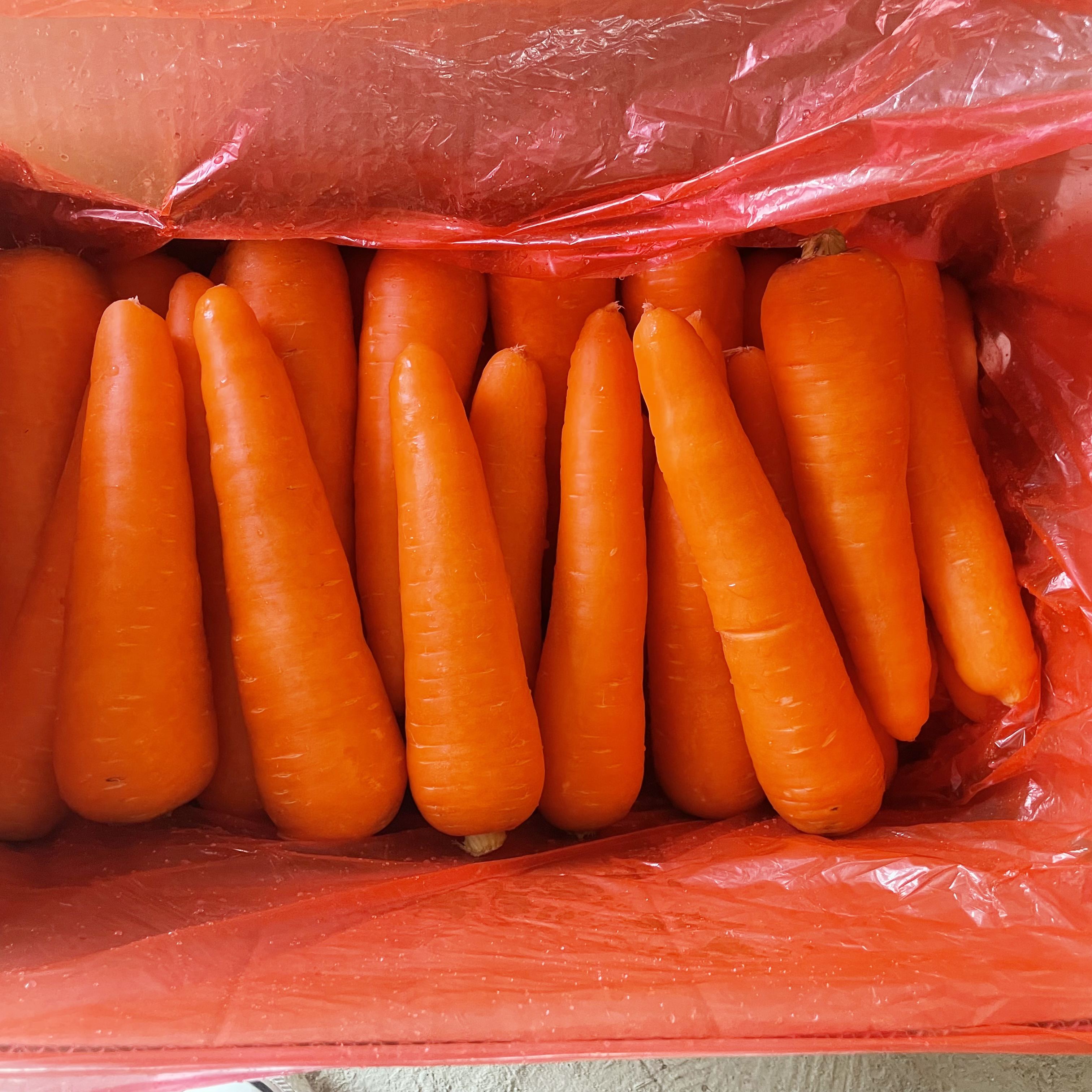 Market Price of Fresh Carrot