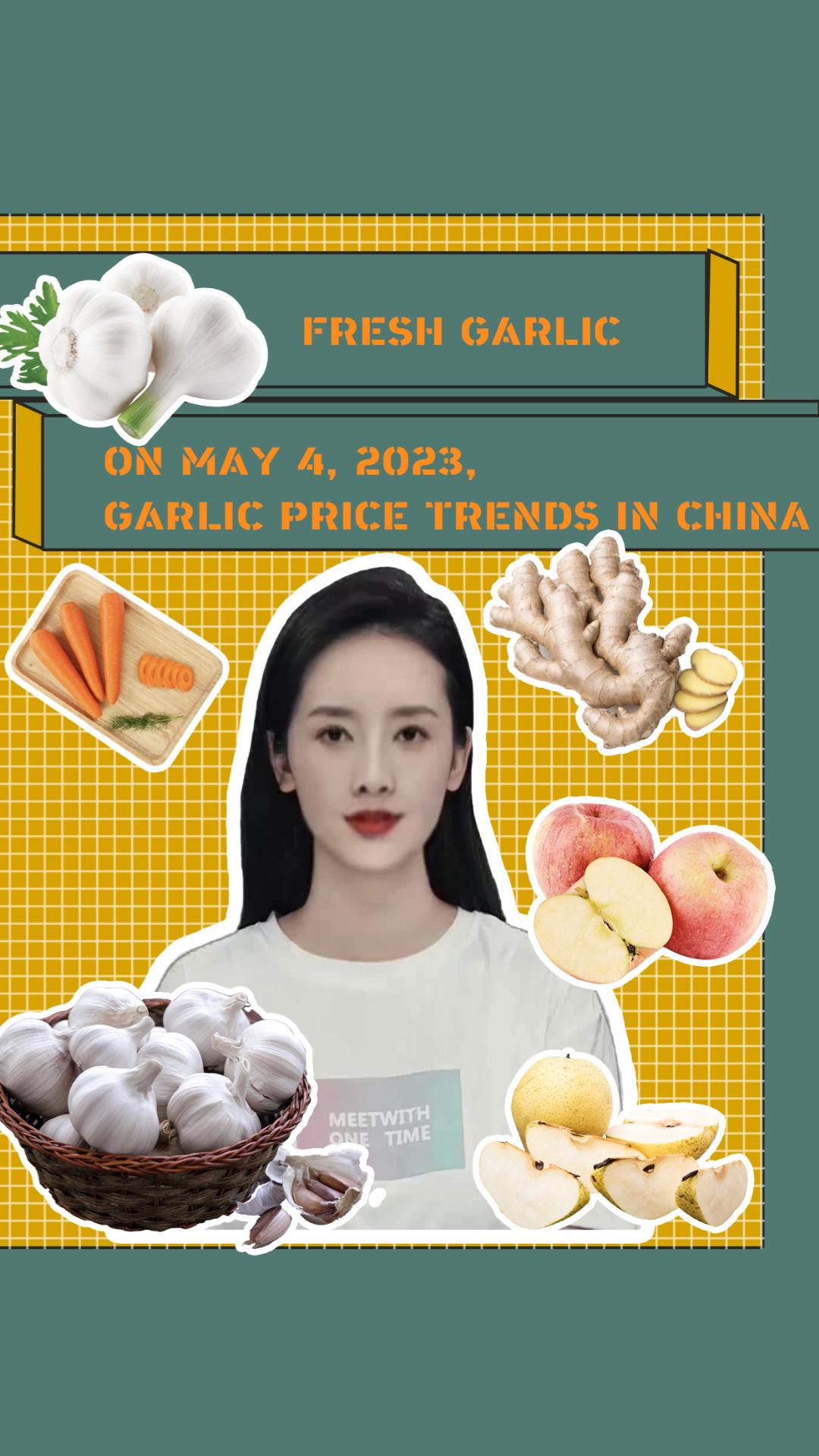 ON MAY 4, 2023,GARLIC PRICE TRENDS IN CHINA