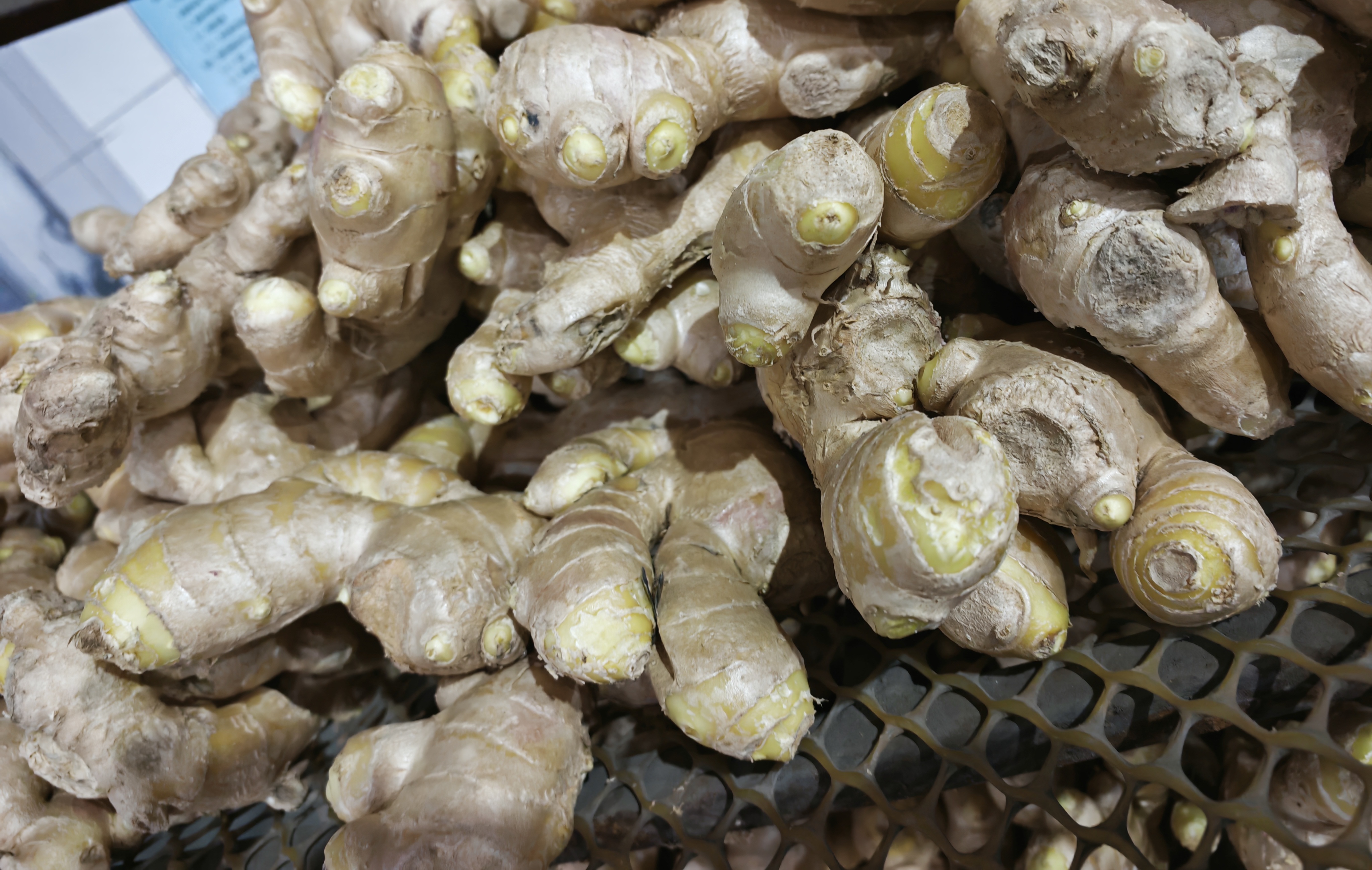 IMG_20260122_103850_edit_679966924613320