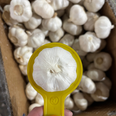 2026-02-27 155457(1).jpg