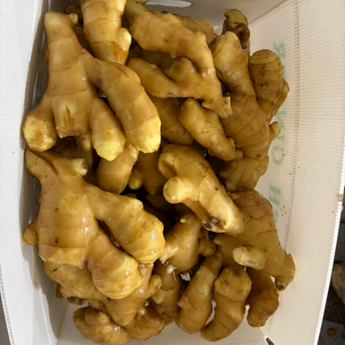 2026-01-16 下午33846.jpg