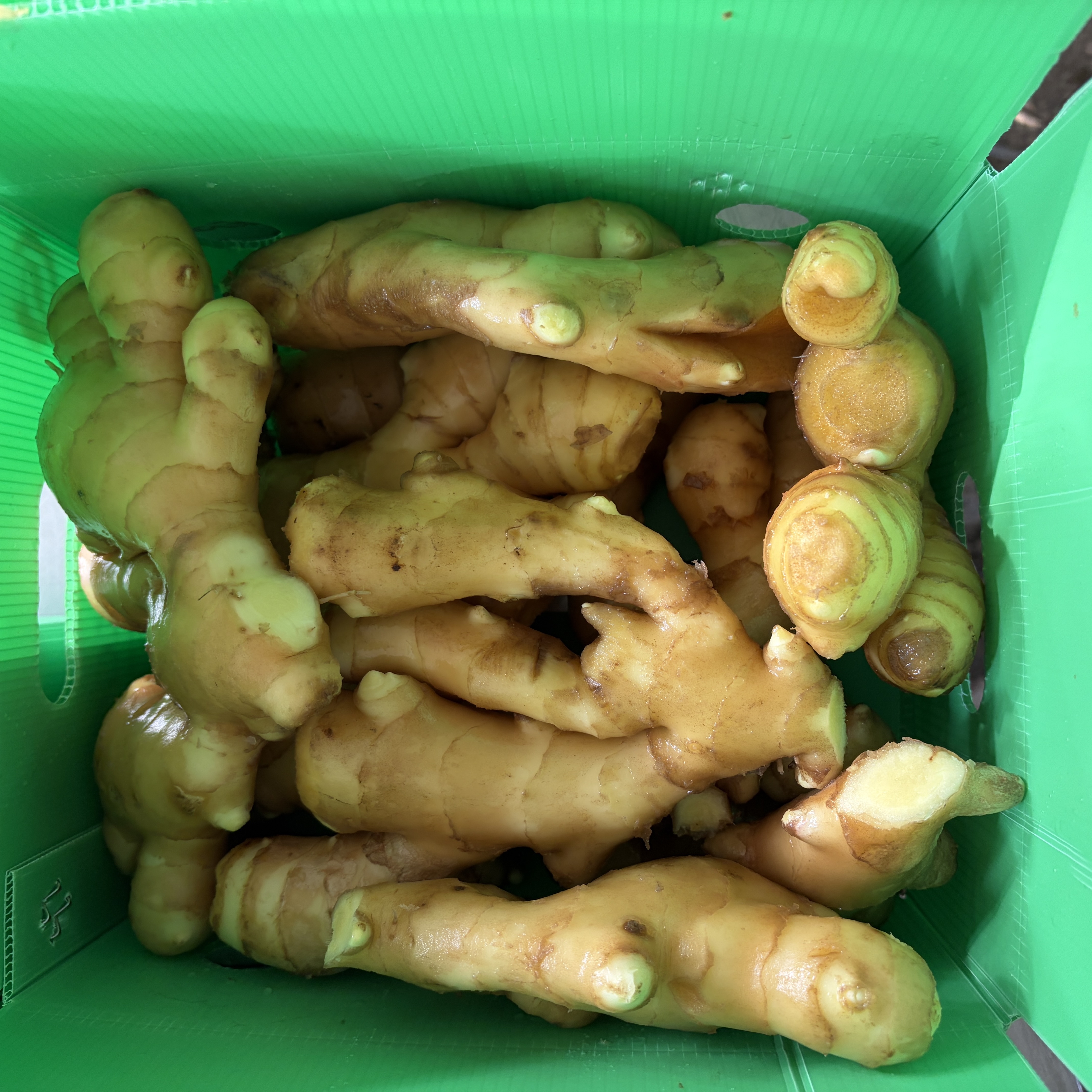 2026-01-13 下午22708