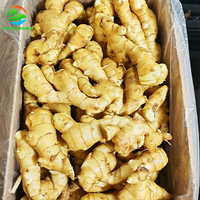 //iprorwxhklnlli5q-static.micyjz.com/cloud/plBpoKnnliSRplkjqqojip/shengjiang.jpg