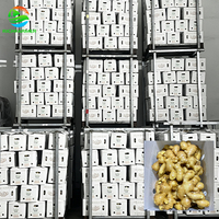 //iprorwxhklnlli5q-static.micyjz.com/cloud/poBpoKnnliSRmljjorlliq/5.jpg